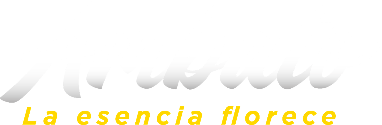 Logo FFF